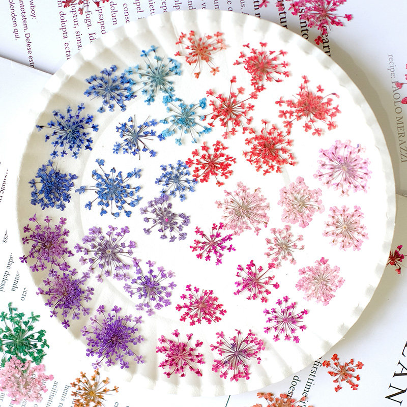 24pcs,2-2.5cm,nature Dyed Mini - Nail Art Emerald recension och pris